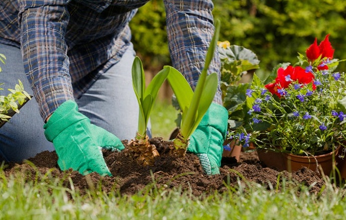 Serviços de Jardinagem